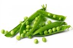 What Are Field Peas? (with pictures)